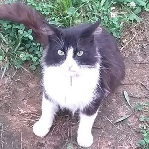 Meet your Posher, Lexi